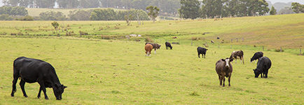 Stacks Image 11570